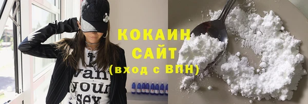 дживик Баксан