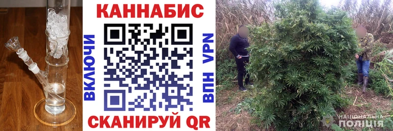 купить наркотик  Ейск  мега зеркало  Бошки Шишки тримм 